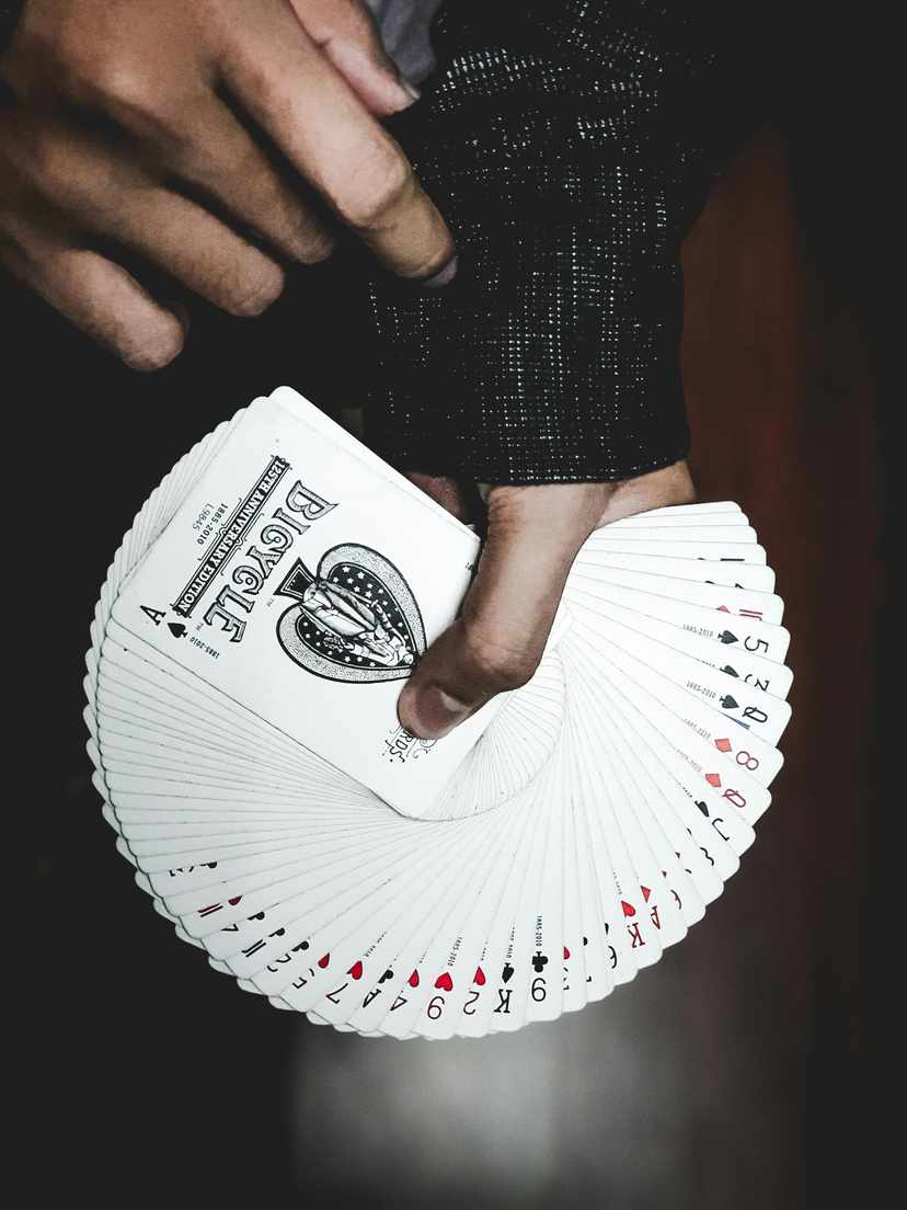 fight club casino online fight club casino online